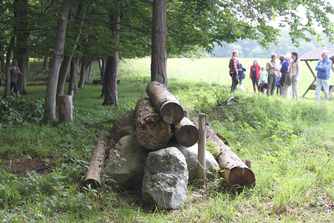 Jagt i Bognæs :) billede 23