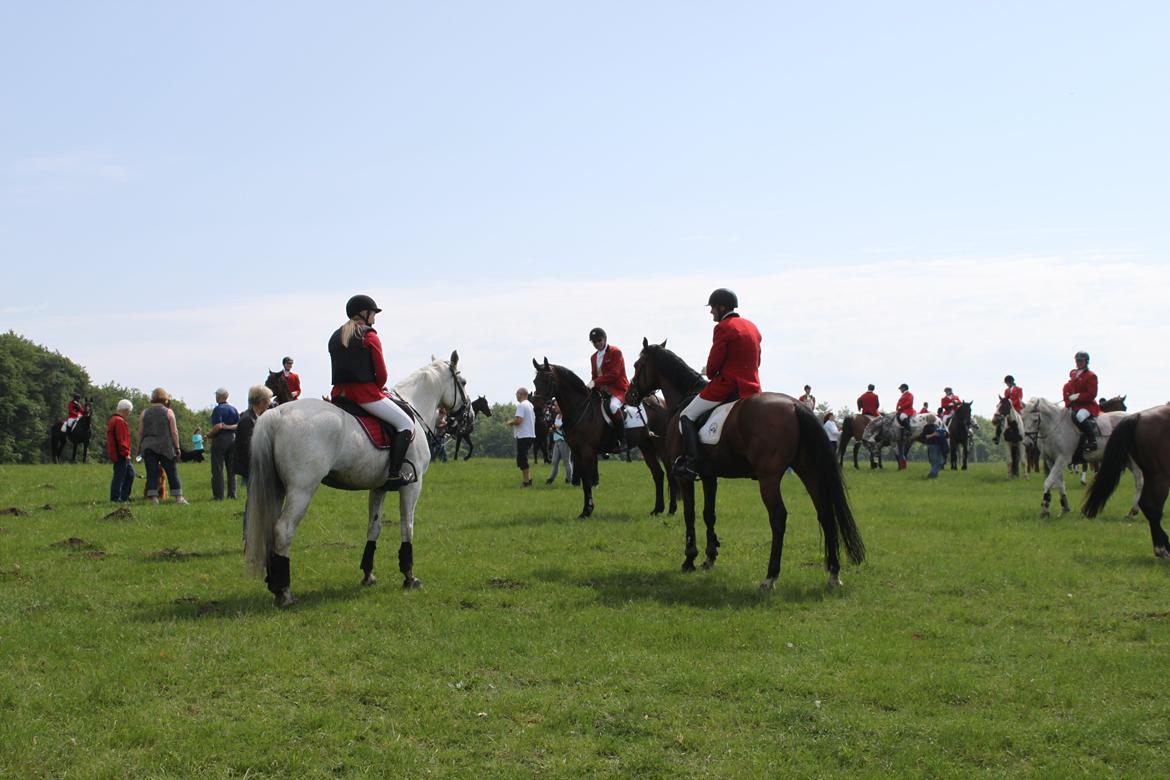 Jagt i Bognæs :) billede 24