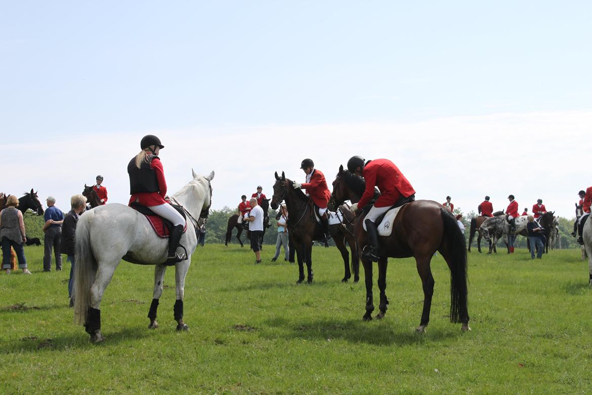 Jagt i Bognæs :) billede 25