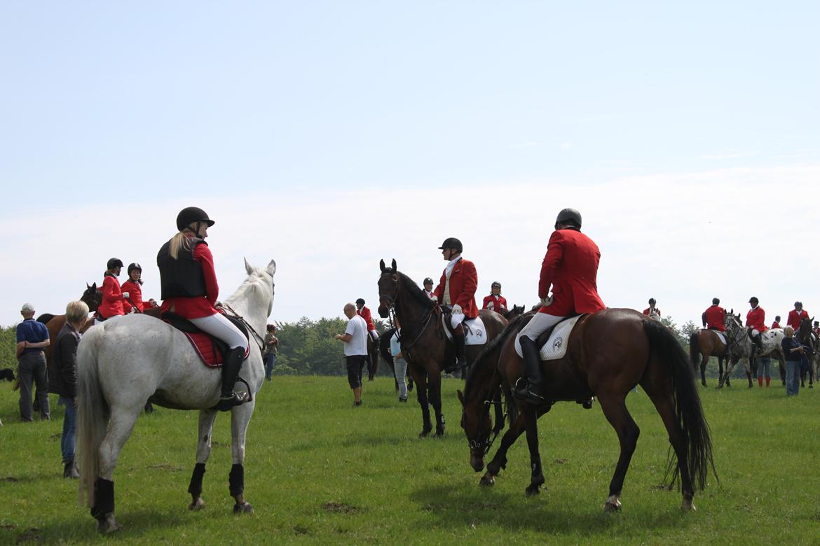 Jagt i Bognæs :) billede 26