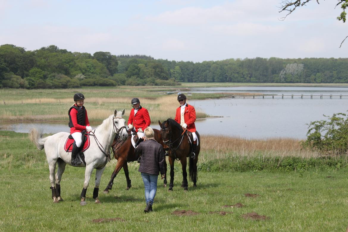 Jagt i Bognæs :) billede 27