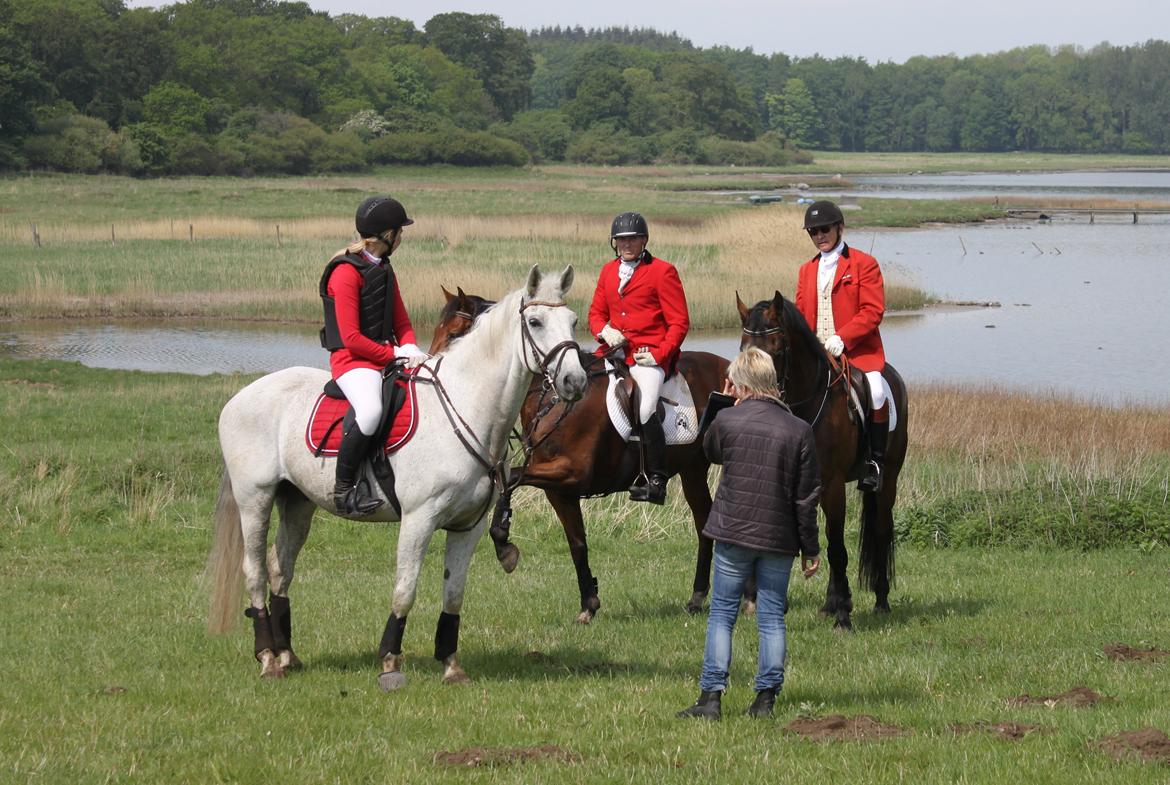 Jagt i Bognæs :) billede 28