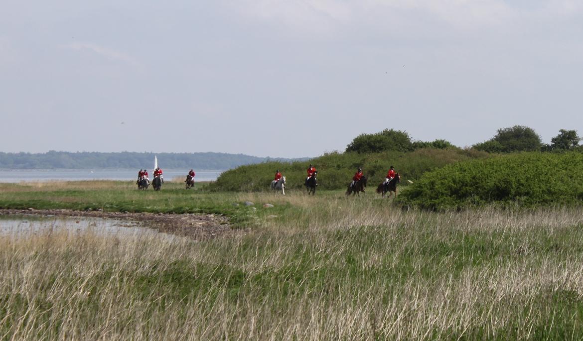 Jagt i Bognæs :) billede 29