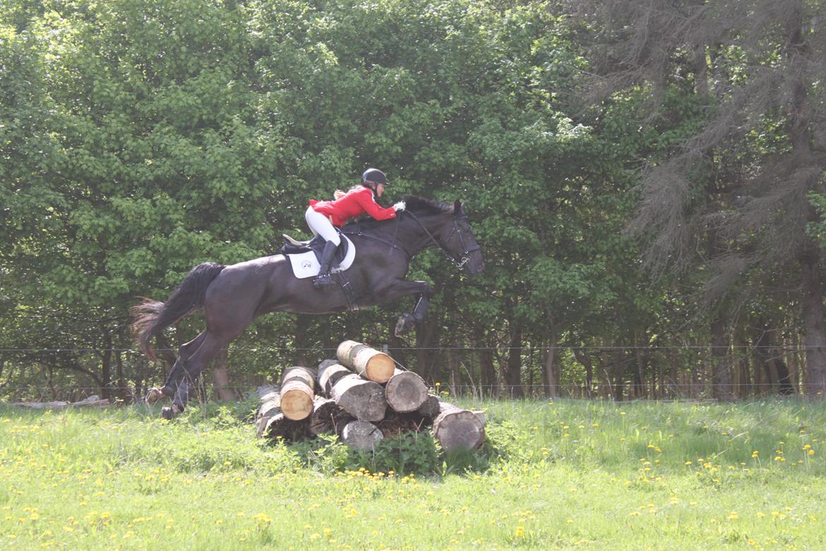 Jagt i Bognæs :) billede 30