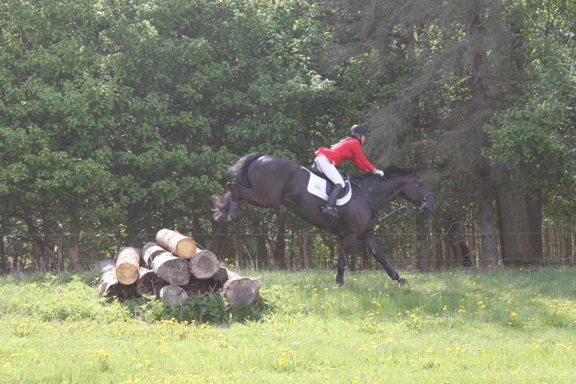 Jagt i Bognæs :) billede 31