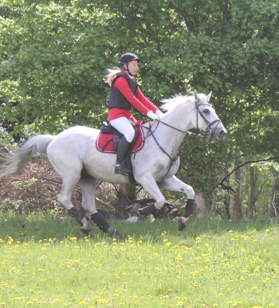 Jagt i Bognæs :) billede 32