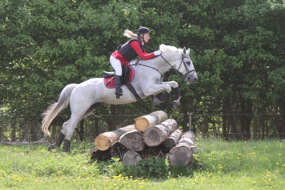 Jagt i Bognæs :) billede 33