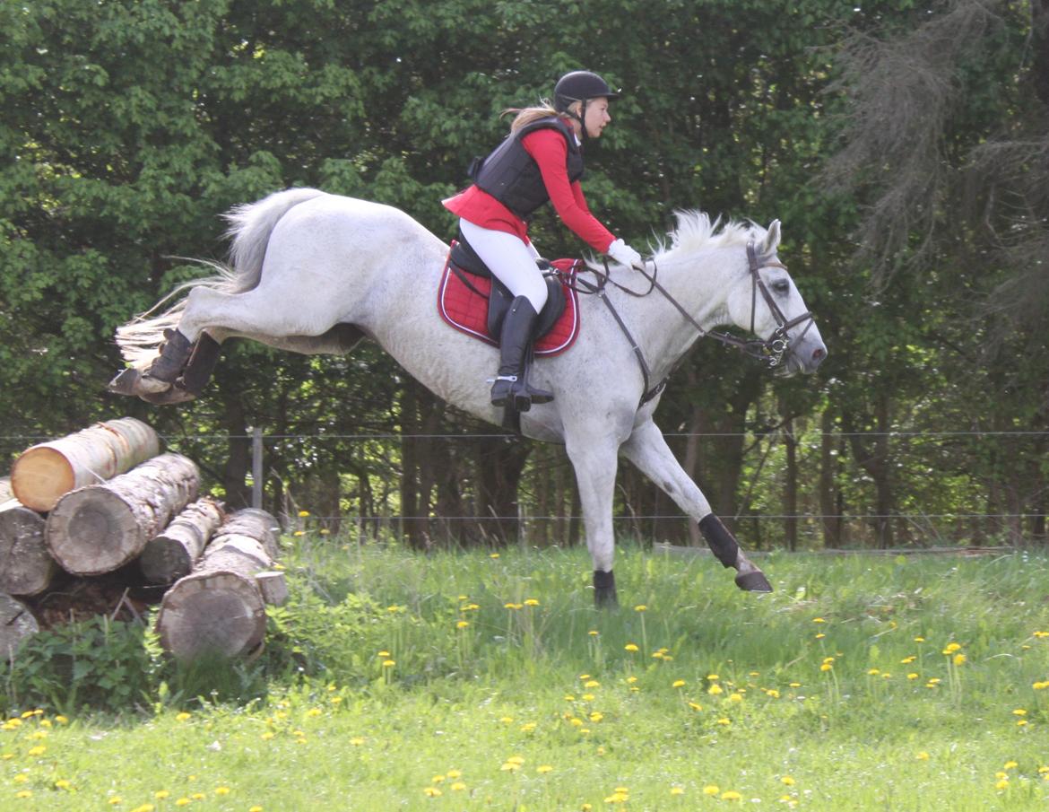 Jagt i Bognæs :) billede 34