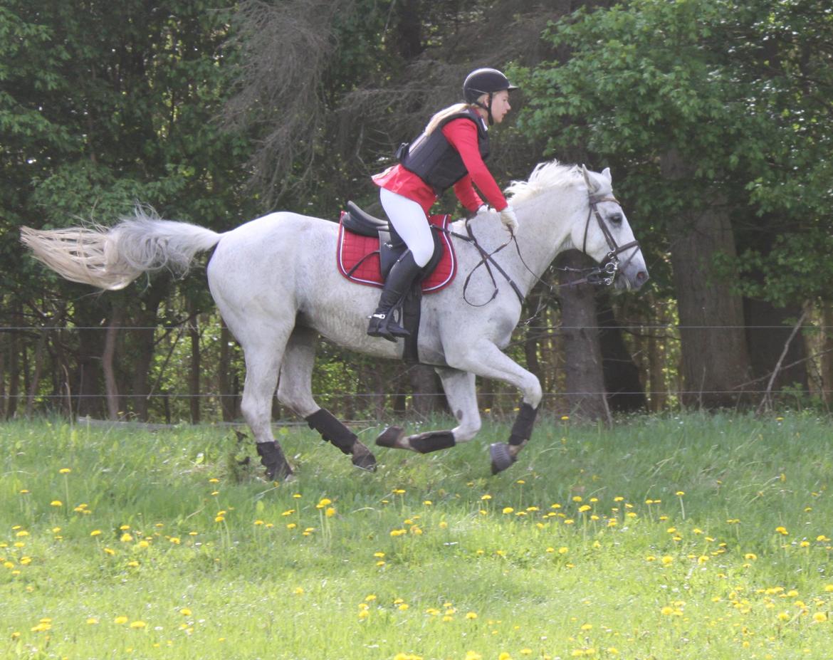 Jagt i Bognæs :) billede 35