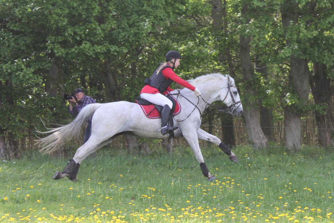 Jagt i Bognæs :) billede 36