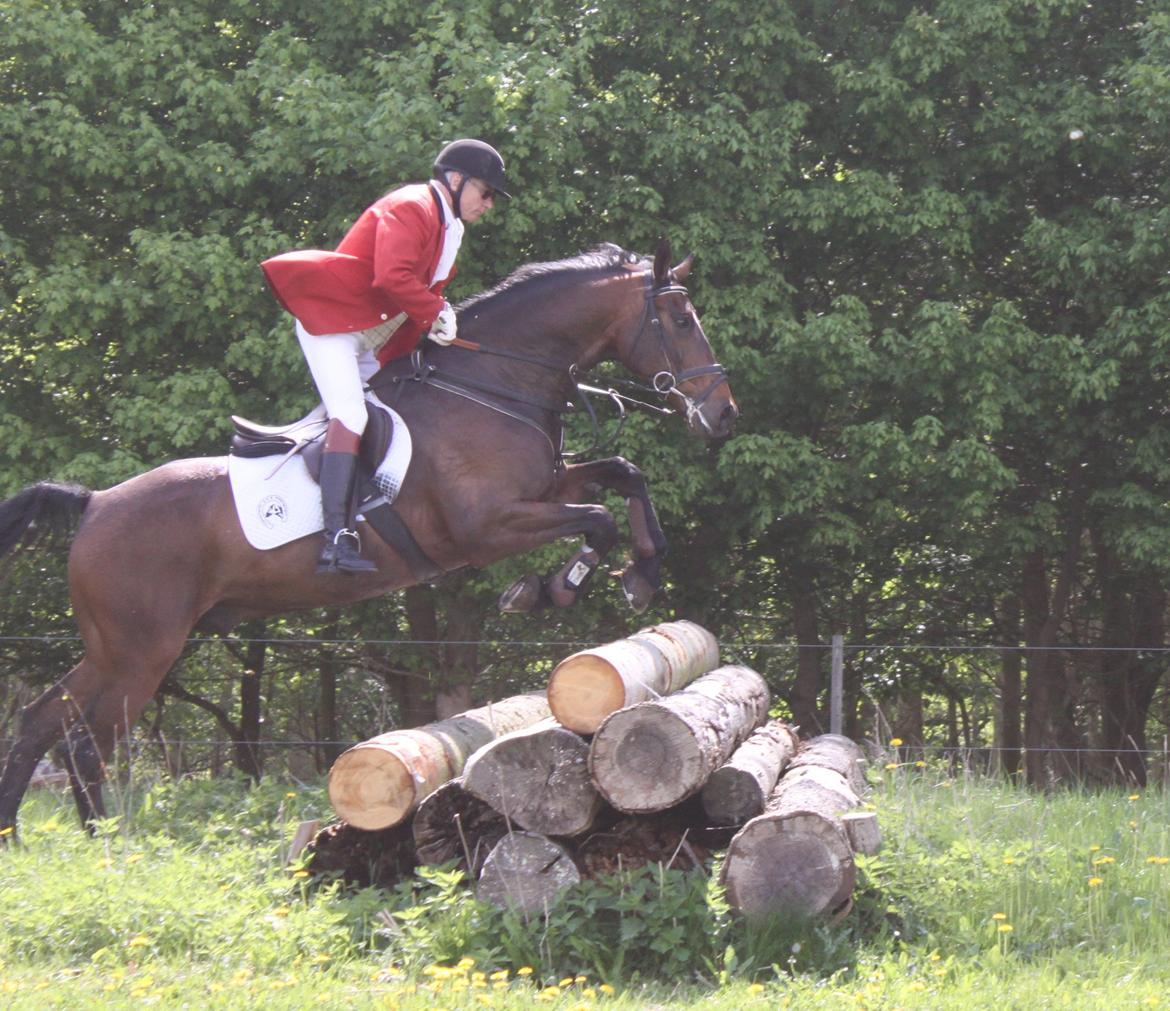 Jagt i Bognæs :) billede 37