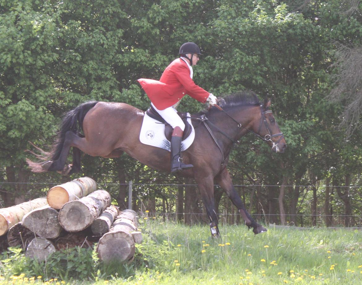 Jagt i Bognæs :) billede 38