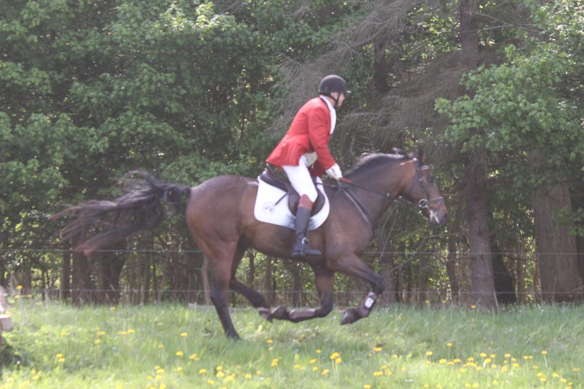 Jagt i Bognæs :) billede 39