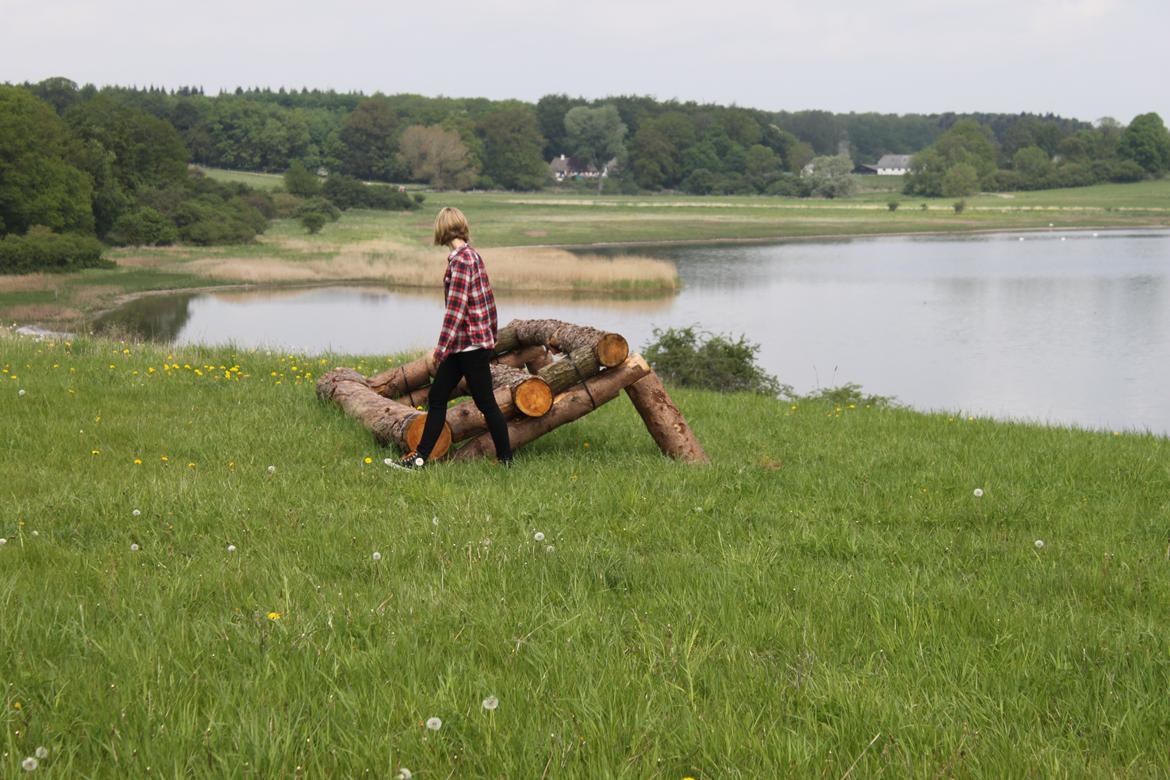 Jagt i Bognæs :) billede 40