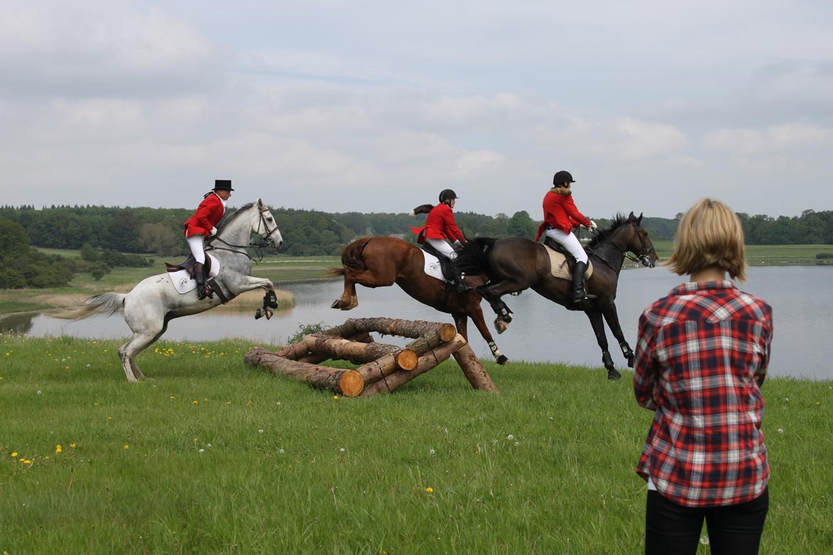 Jagt i Bognæs :) billede 42