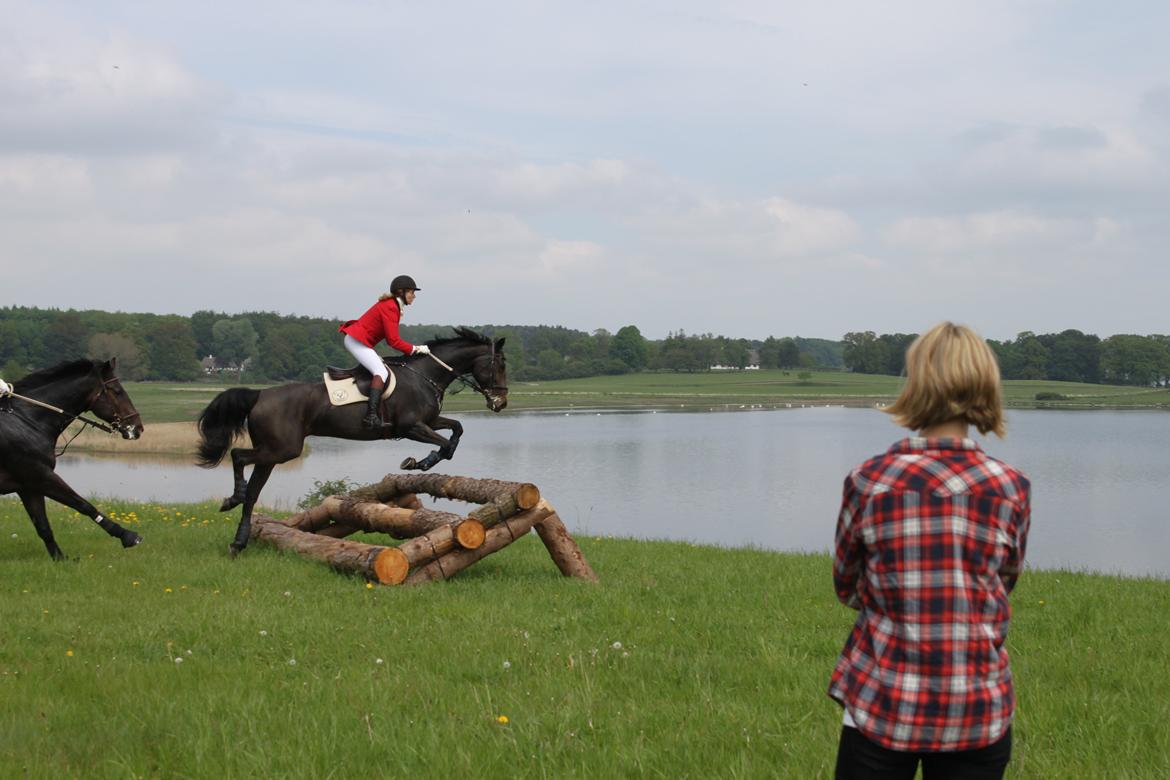 Jagt i Bognæs :) billede 43