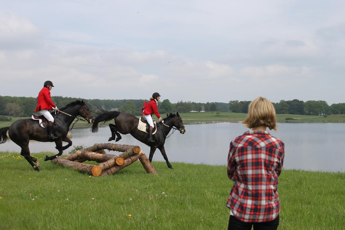 Jagt i Bognæs :) billede 44