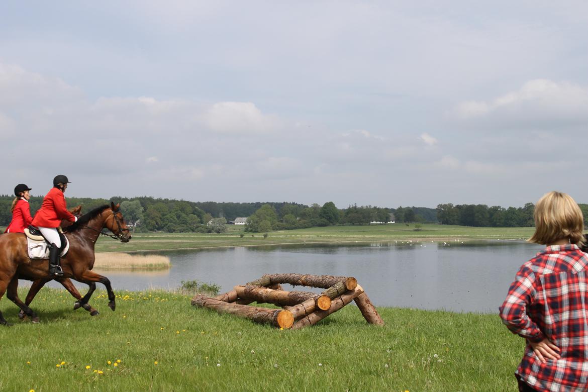 Jagt i Bognæs :) billede 46