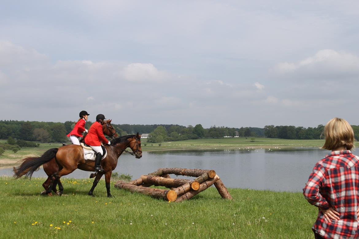 Jagt i Bognæs :) billede 47