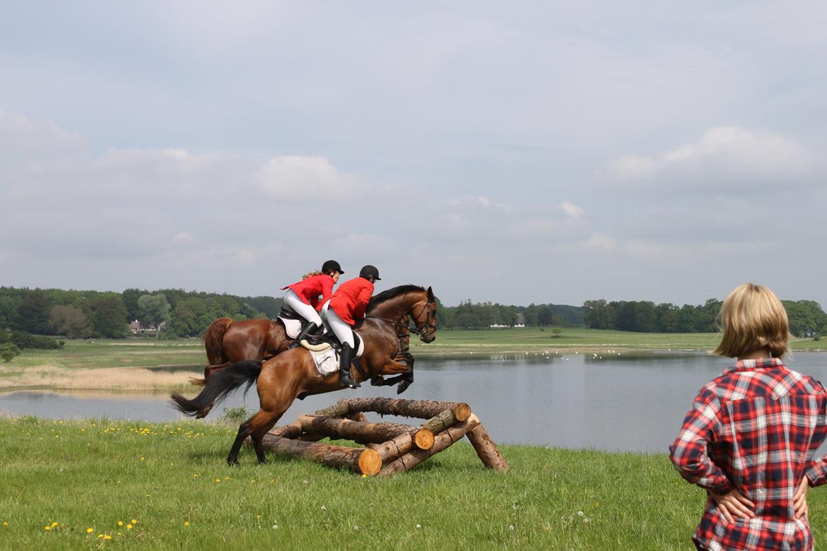 Jagt i Bognæs :) billede 48