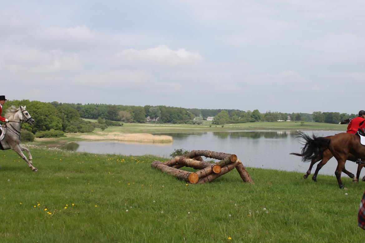 Jagt i Bognæs :) billede 50