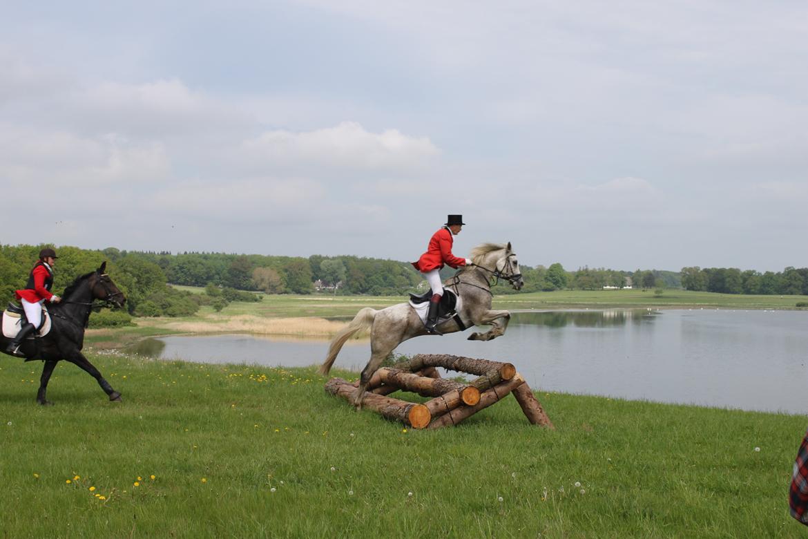 Jagt i Bognæs :) billede 51