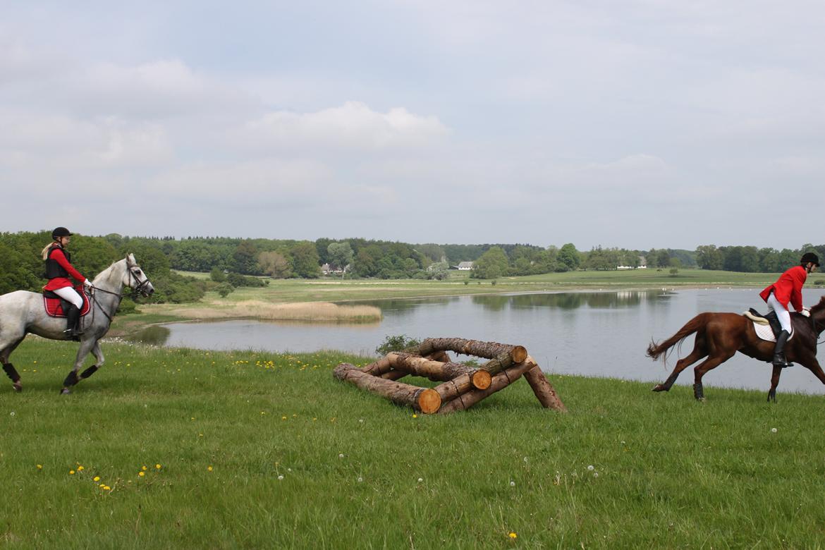 Jagt i Bognæs :) billede 52