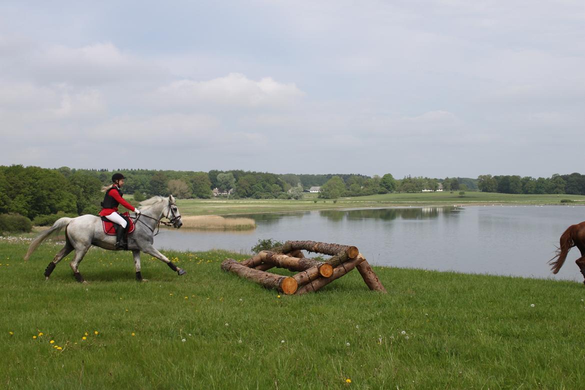 Jagt i Bognæs :) billede 53