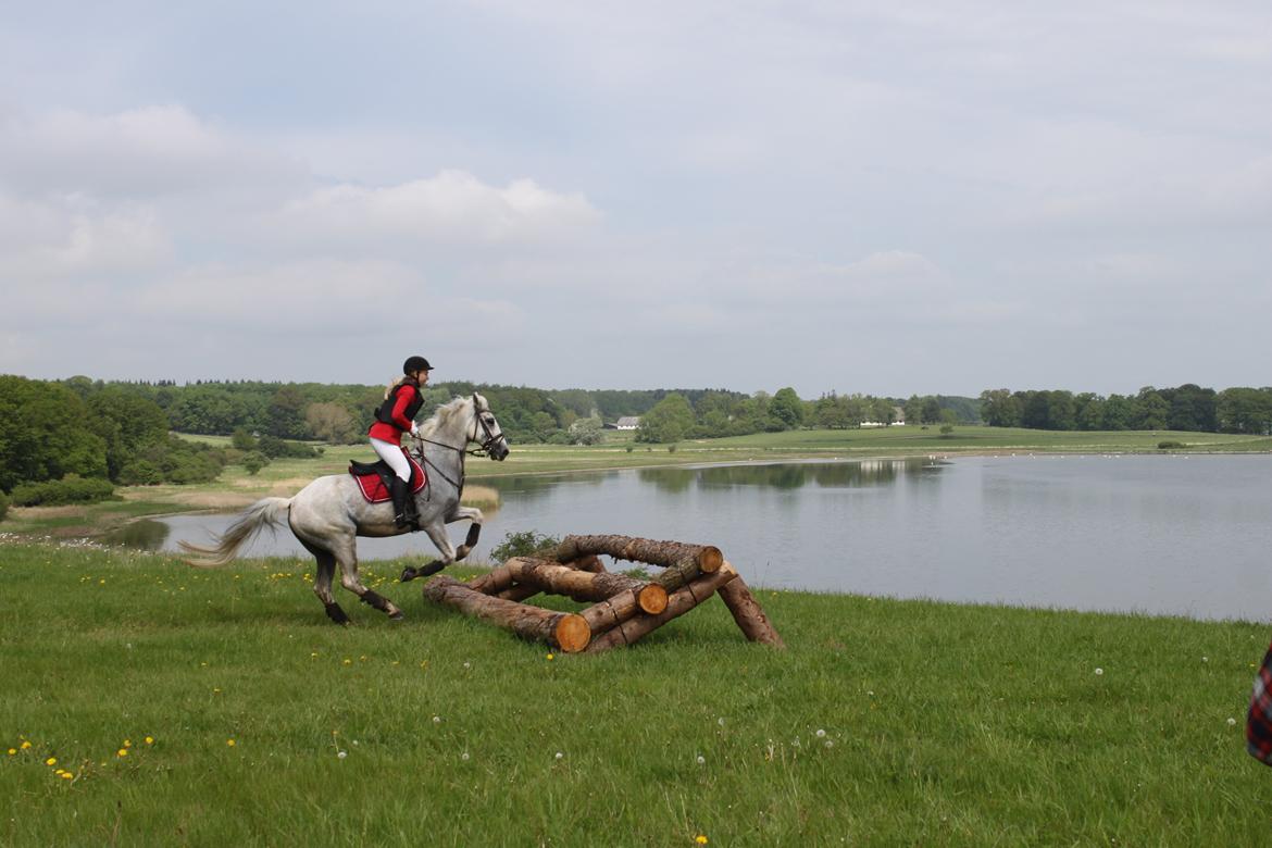 Jagt i Bognæs :) billede 54