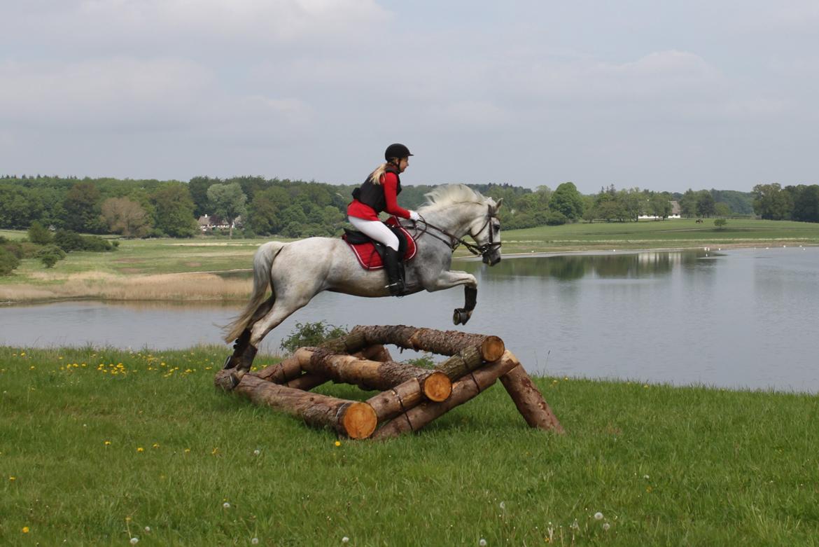 Jagt i Bognæs :) billede 55