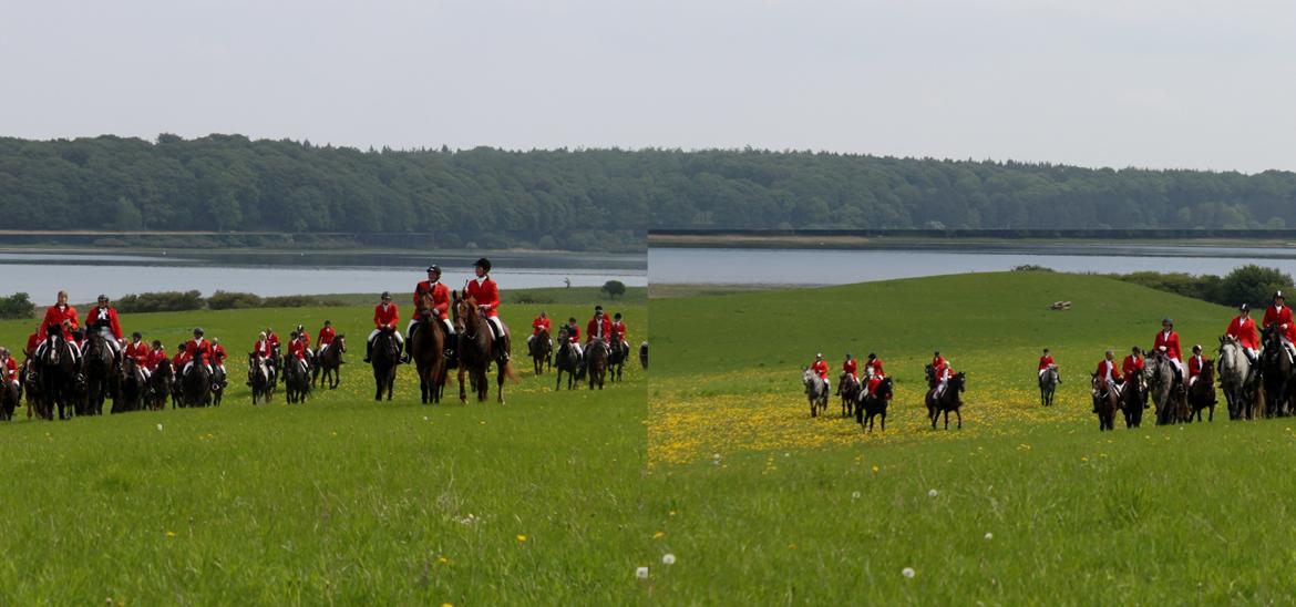 Jagt i Bognæs :) billede 58