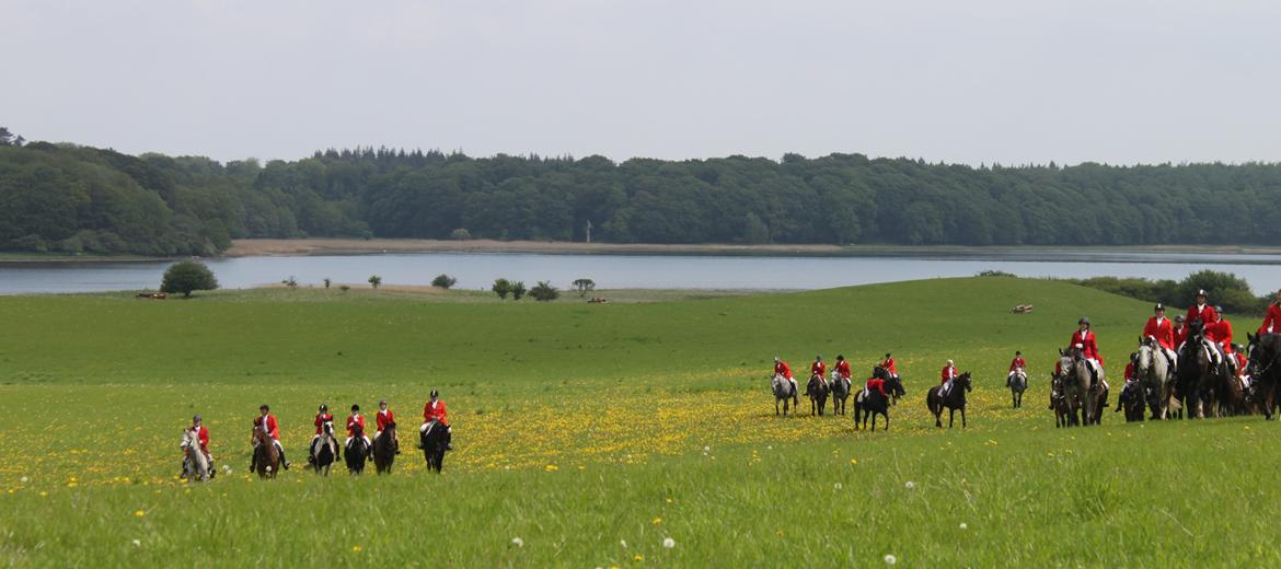 Jagt i Bognæs :) billede 59