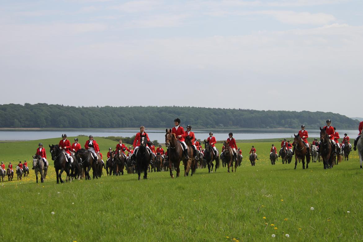 Jagt i Bognæs :) billede 60