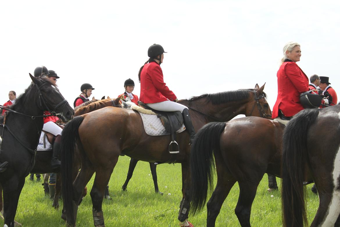 Jagt i Bognæs :) billede 61