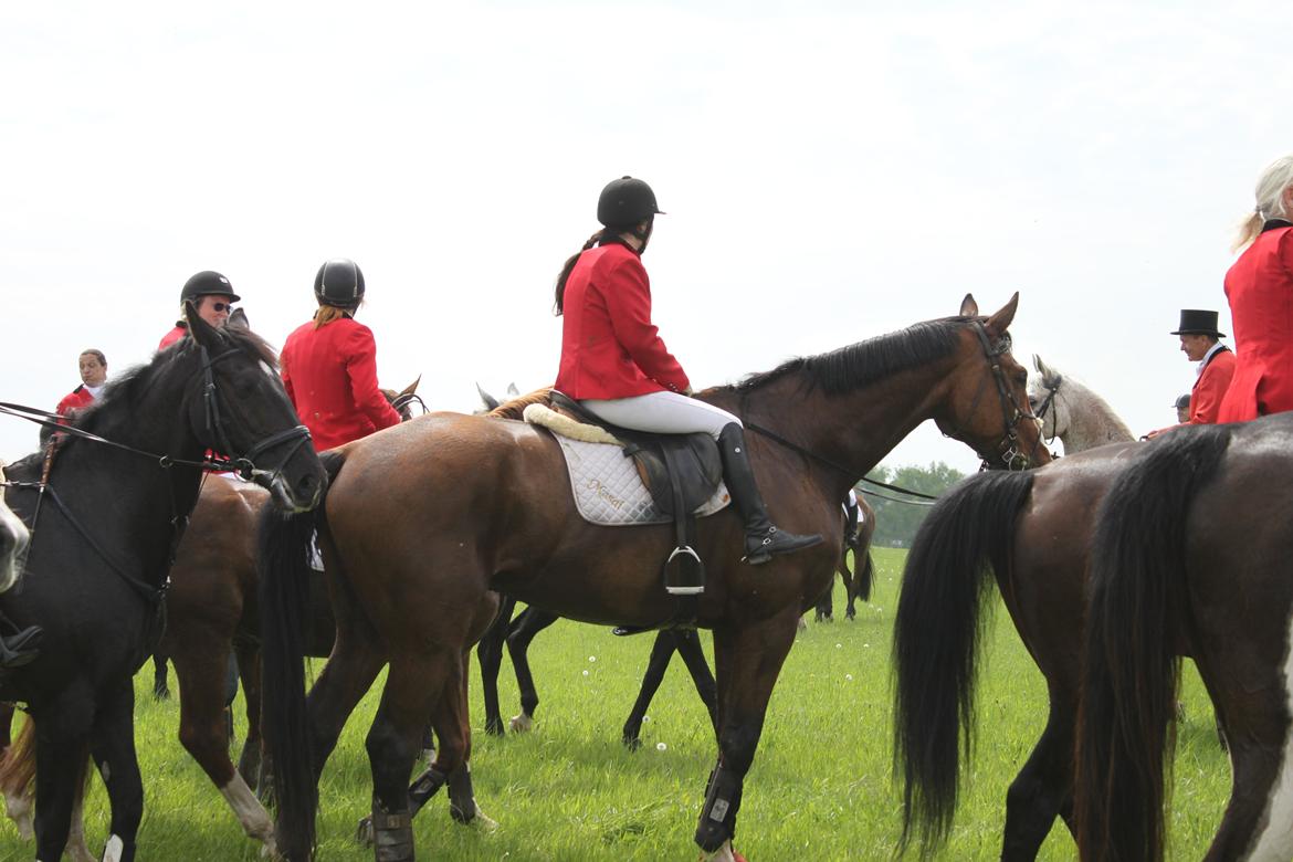 Jagt i Bognæs :) billede 62