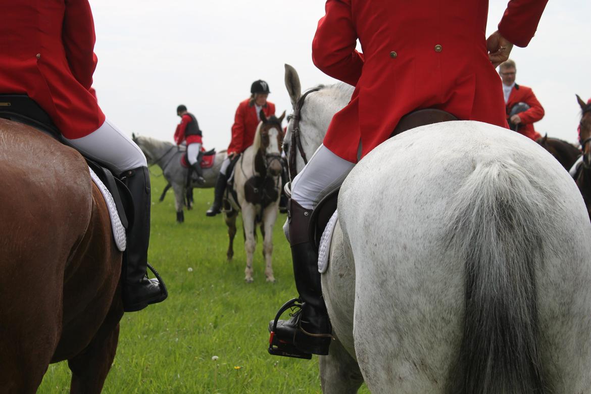 Jagt i Bognæs :) billede 63