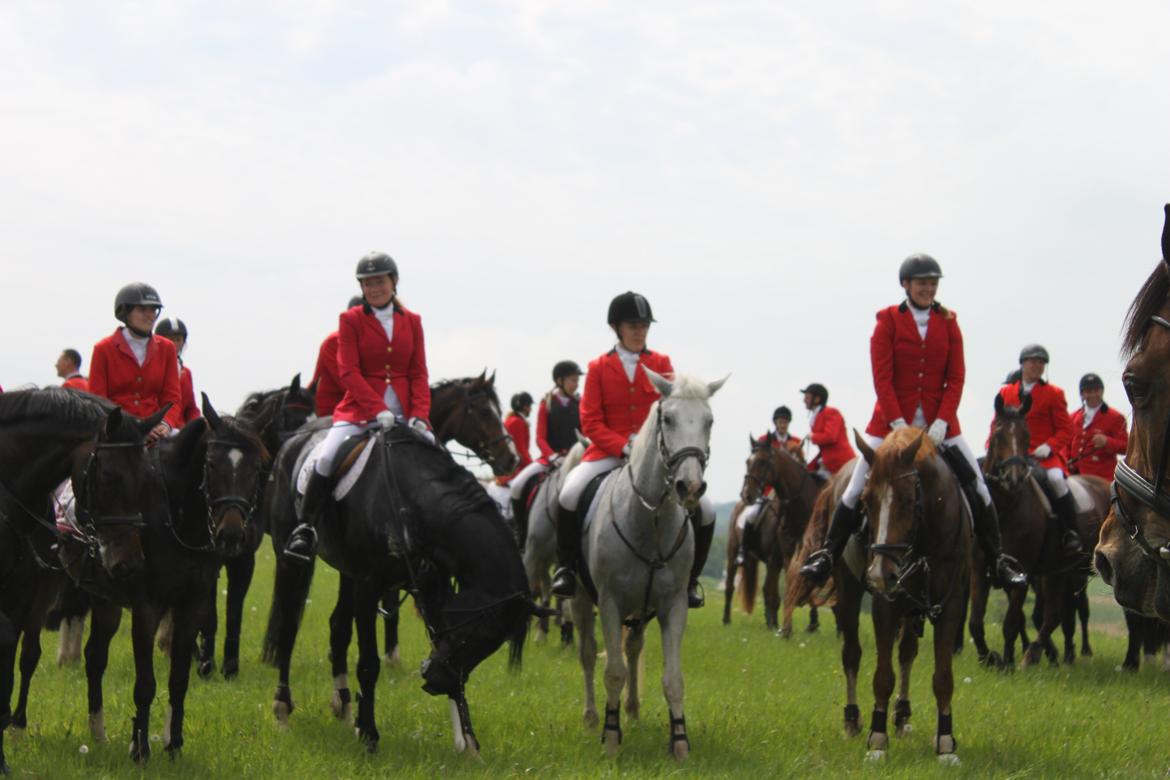 Jagt i Bognæs :) billede 64