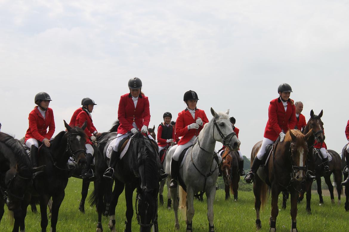 Jagt i Bognæs :) billede 65