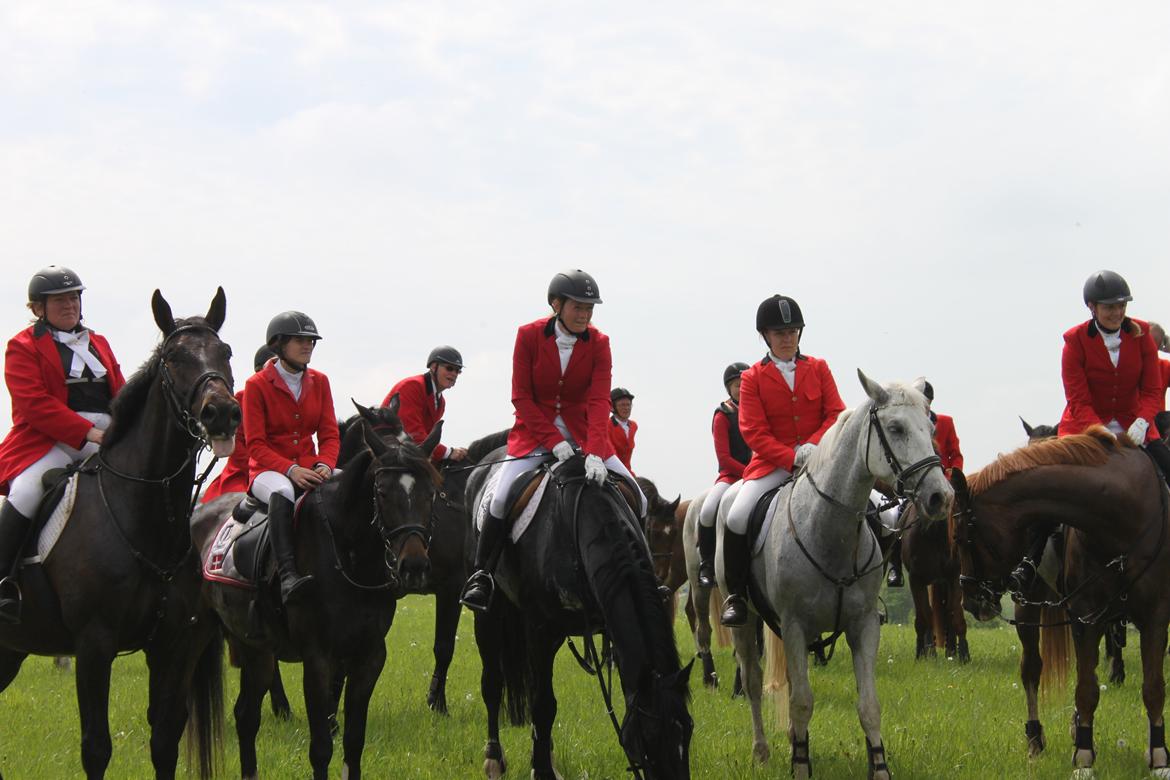 Jagt i Bognæs :) billede 66