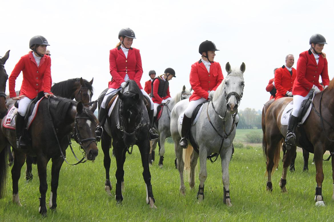 Jagt i Bognæs :) billede 67