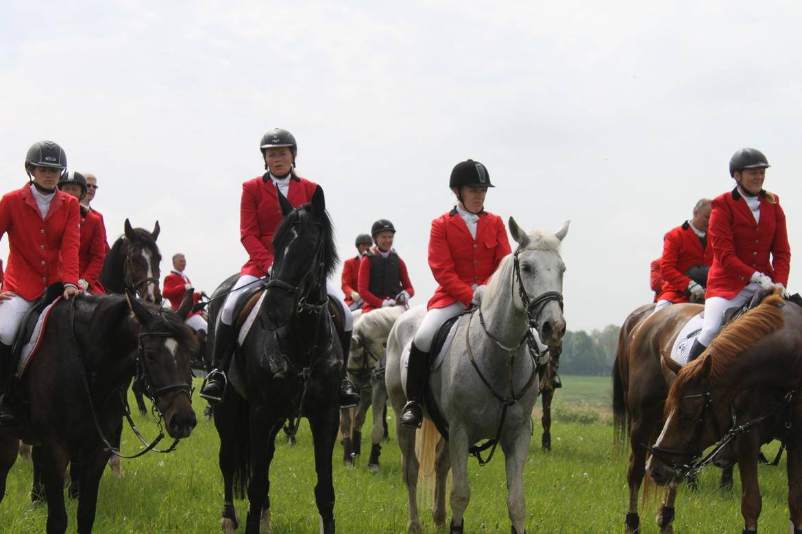 Jagt i Bognæs :) billede 68