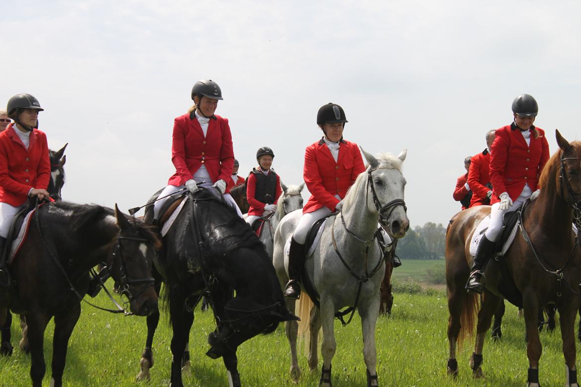 Jagt i Bognæs :) billede 69