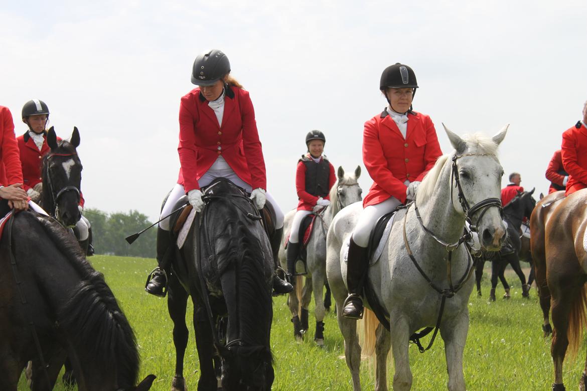 Jagt i Bognæs :) billede 70