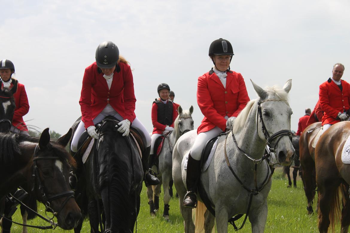 Jagt i Bognæs :) billede 71