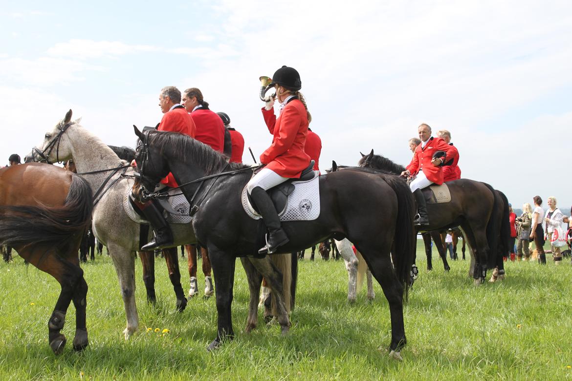 Jagt i Bognæs :) billede 72
