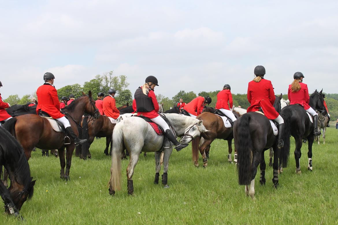 Jagt i Bognæs :) billede 76