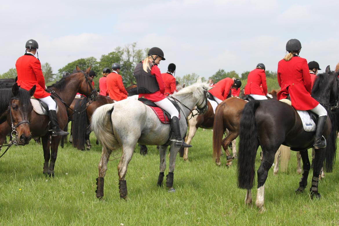 Jagt i Bognæs :) billede 77
