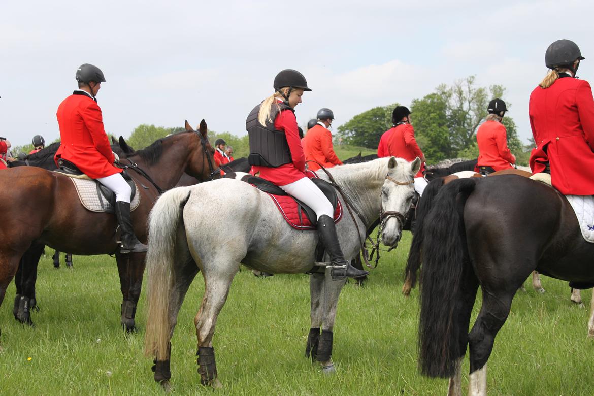 Jagt i Bognæs :) billede 78