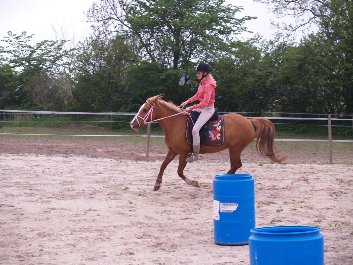 "Min vildhest er bedst" billede 17