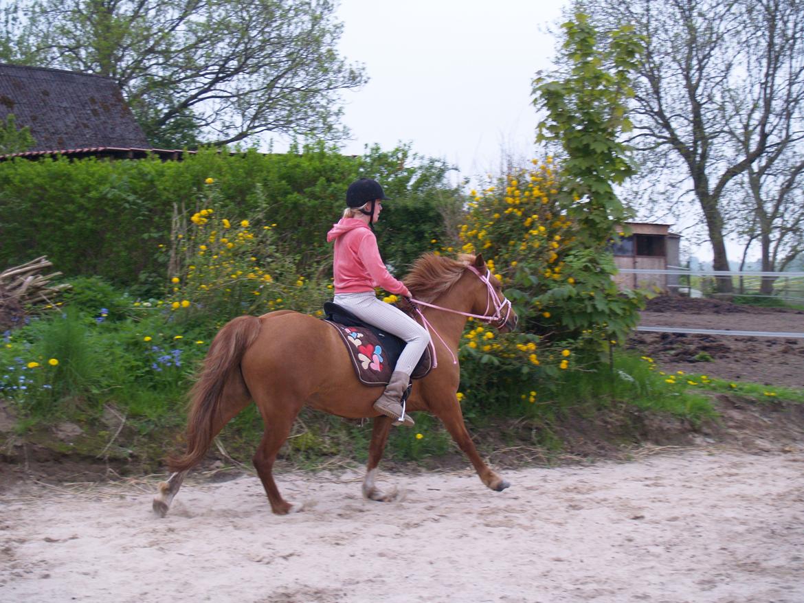 "Min vildhest er bedst" billede 28